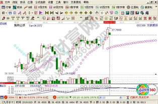 計算機設備概念股龍頭大盤點 聚焦技術開發與創新